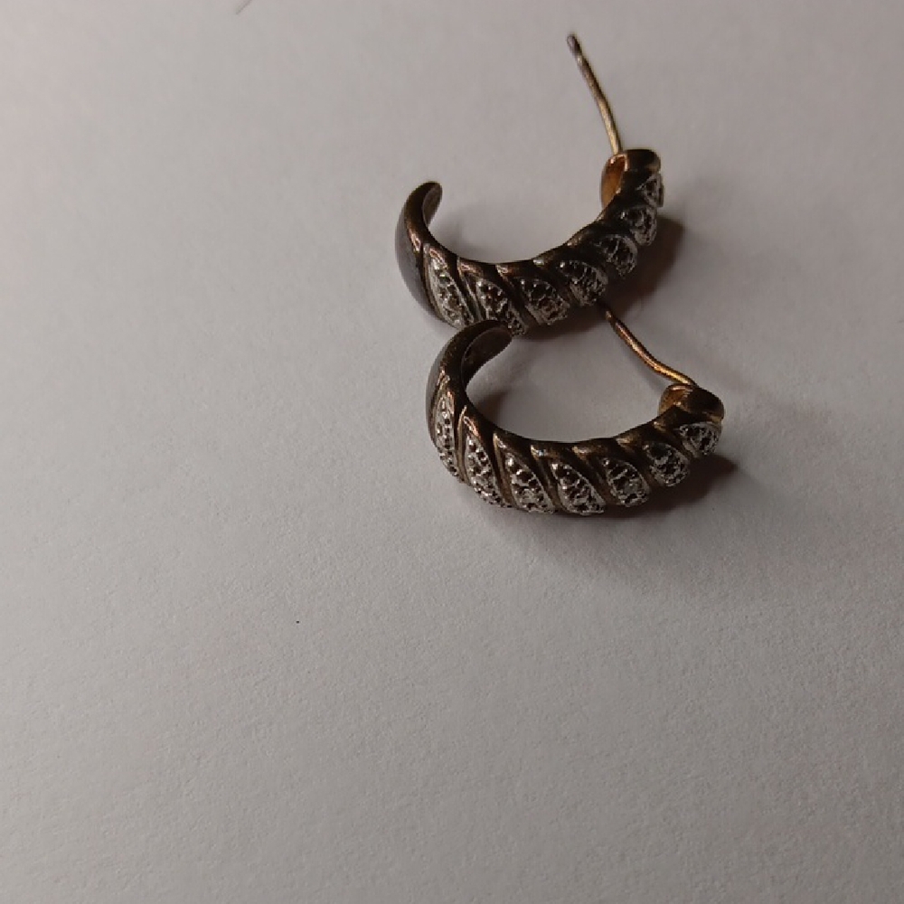Elegant Silver  Earrings